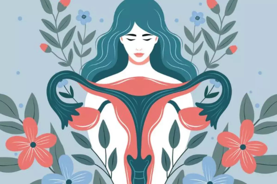 menopause-corps-feminin-uterus corps féminin et transformation hormonale ménopause